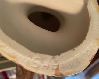 Shearwater. Bottom of the bird (prev pic) 