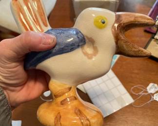 Shearwater bird. Old 