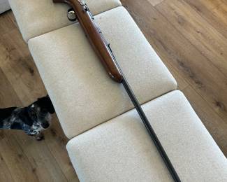 Remington .22 short/ long rifle 