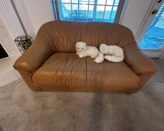 Presale Italian Leather LoveSeat