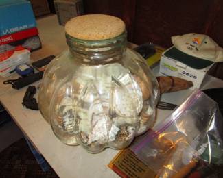 Huge amount of shells