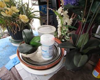 Plants, yard tools, gardening and more