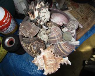 Shells