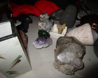 shells, coral. rocks