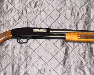 Western auto Revelation 410 pump
