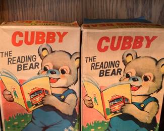 Cubby the Reading Bear