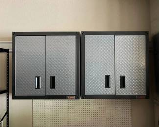 ladiator wall cabinets, 38 x 28 x 12