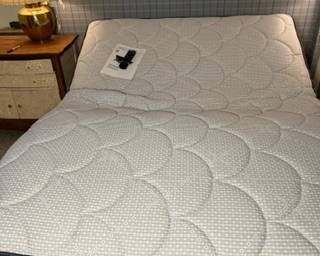 SF-500 Luxury Adjustable Base with Anti-Snore Position Head and Foot Articulation USB Ports with Two Memory Reset Buttons with Multiple Patterns (Queen) less than 6 months old