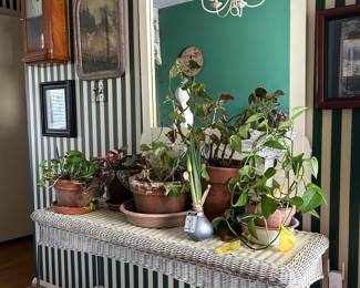 plants, wicker table, decor