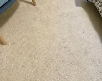 PB teen ivory wool rug 