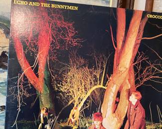 Echo and the Bunnymen,