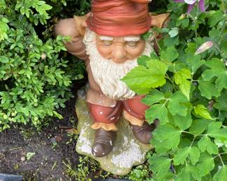 Gnome