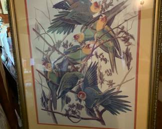 Bird Print in Large Frame