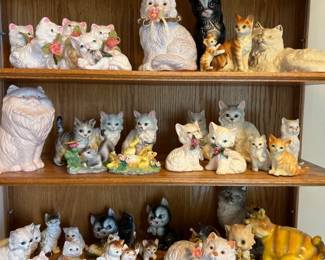 Kittens and Kaboodles of Them