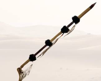 Ceremonial Warrior Spear