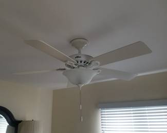 Illuminated ceiling fan. Electric is off - easy removal