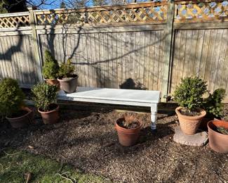 Lots of Garden Pots - Potted Bushes & Shrubs Are For Sale