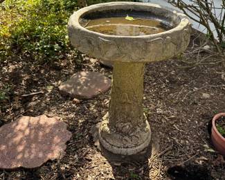 Bird Bath