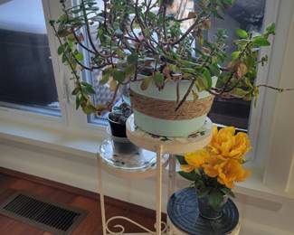 Three Tiered Plant Stand and Plants
