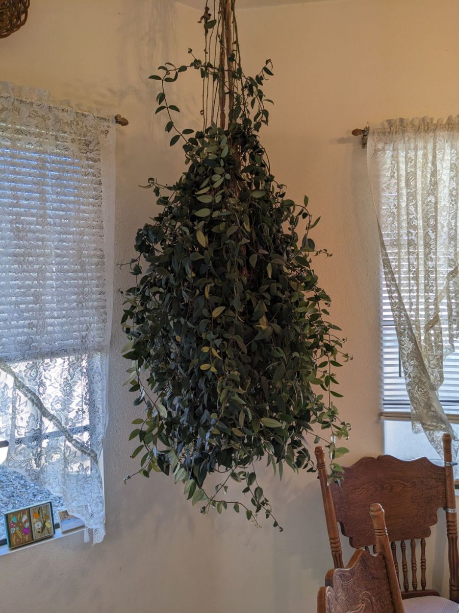 Hueneme Estate Sale in Port Hueneme, CA starts on 3/15/2024