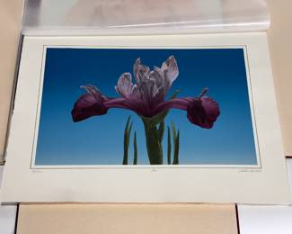 Arizona State University Centennial Art Portfolio 17 Prints in Binder ASU 1984 1985  	21x16x1.5in	196041
