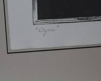 *Singed* Ron Gasowski/Rita Dove Litho Ozone Framed Art Work 	Frame: 24x27.5in	196245
