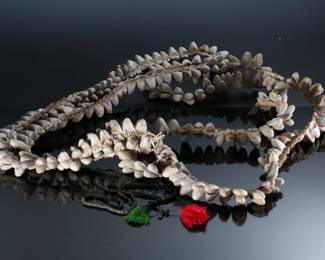 Vintage Silk Moth Cocoon Leg Rattles Native Mayo Indians	40in long 	196171
