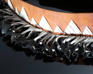 Vintage Yaqui Indian Deer Hoof Chapayeka Ceremonial Belt	Total Length: 50in<BR>Belt Width: 3in with hang: 6in 	196170
