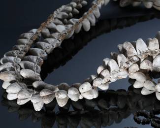 Vintage Silk Moth Cocoon Leg Rattles Native Mayo Indians	40in long 	196171
