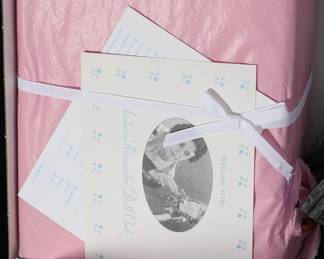 Madame Alexander Doll - Miss Gulch with Bicycle and Toto Style # 13240 - 1997 Wizard of Oz Collection - With tags in Original Box	4 x 9.5 x 12.5 in	198006
