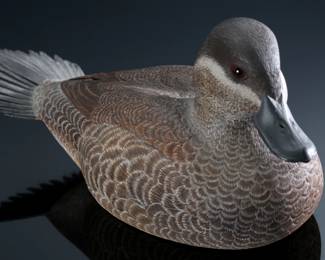 Don Zeug Ruddy Duck Oxyurinae Carved Wood Duck Decoy Oxyuridae	5.25x4.75x10.5in	199148
