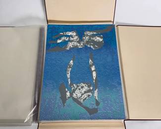 Arizona State University Centennial Art Portfolio 17 Prints in Binder ASU 1984 1985  	21x16x1.5in	196041
