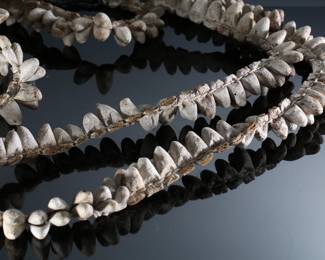 Vintage Silk Moth Cocoon Leg Rattles Native Mayo Indians	40in long 	196171
