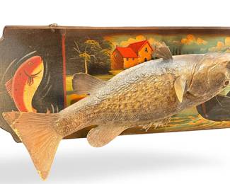 Fish Taxidermy Wall Art	5x37x9in	289025
