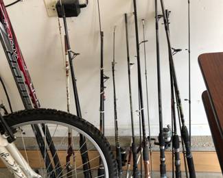 Fishing Rods & Reels