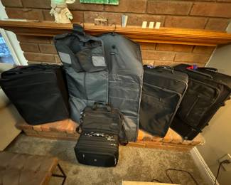 Briggs & Riley  Garment Bag