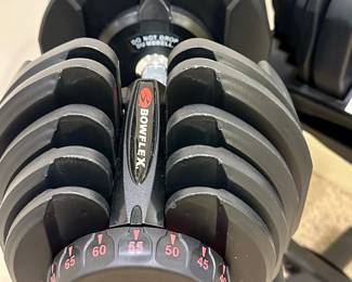 Bowflex SelectTech 1090 Adjustable Dumbbells (Pair) and Stand Bundle.  Retails over $900.00