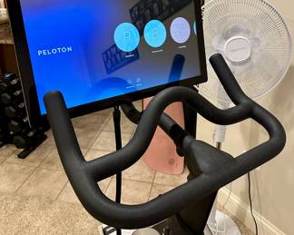 Peloton RV1Q