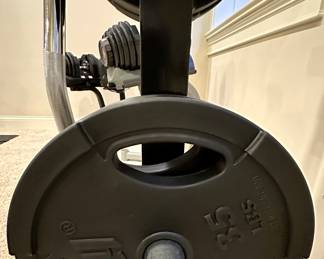 Troy Fitness 255 lb Rubber Grip Plates, shown with Weight Tree and Curl Bar.  