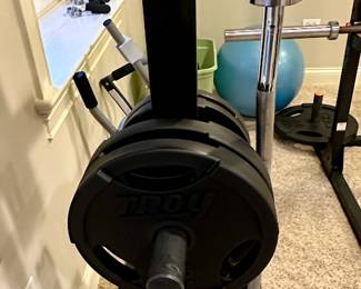 Troy Fitness 255 lb Rubber Grip Plates, shown with Weight Tree and Curl Bar.  