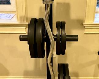 Troy Fitness 255 lb Rubber Grip Plates, shown with Weight Tree and Curl Bar.  