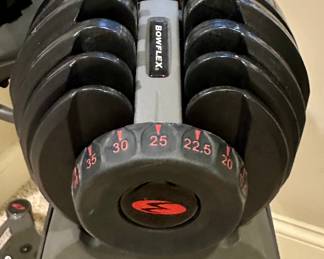 BowFlex SelectTech 552 Dumbbells and Stand Bundle
