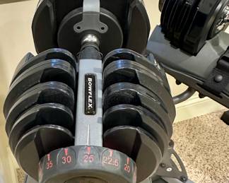 BowFlex SelectTech 552 Dumbbells and Stand Bundle