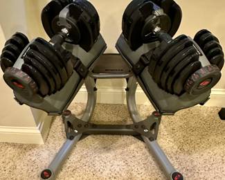 BowFlex SelectTech 552 Dumbbells and Stand Bundle