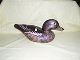 Duck Decoy-signed