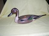 Duck Decoy