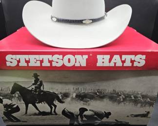 Stetson, Mist Grey Beaver Cowboy Hat. Sz. 7 In