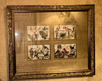 Avian Framed Art