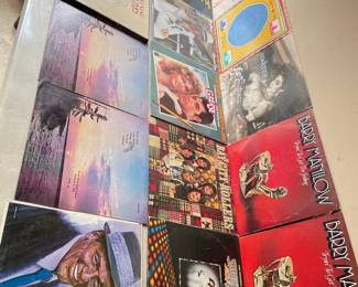 Assorted Vinyl Records - 15 Total