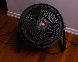 Vornado Fan